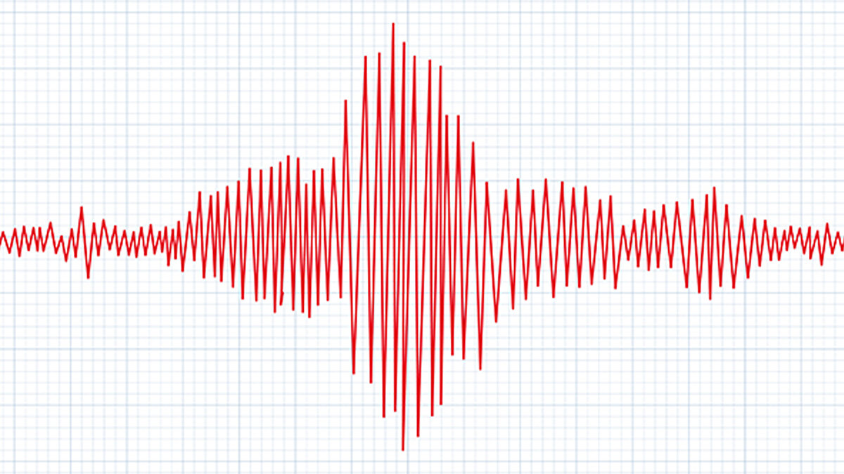 Karakutuların Gerçek Rengi Ne?<br><br>İsmi nedeniyle karakutuların renginin siyah olduğunu düşünülebilirsiniz fakat yanılıyorsunuz. Karakutular kaza sonrasında kolayca fark edilip bulunabilmelerini sağlamak amacıyla turuncuya boyanır. Karakutulara neden bu ismin verildiğiyle ilgiliyse net bir bilgi yok.