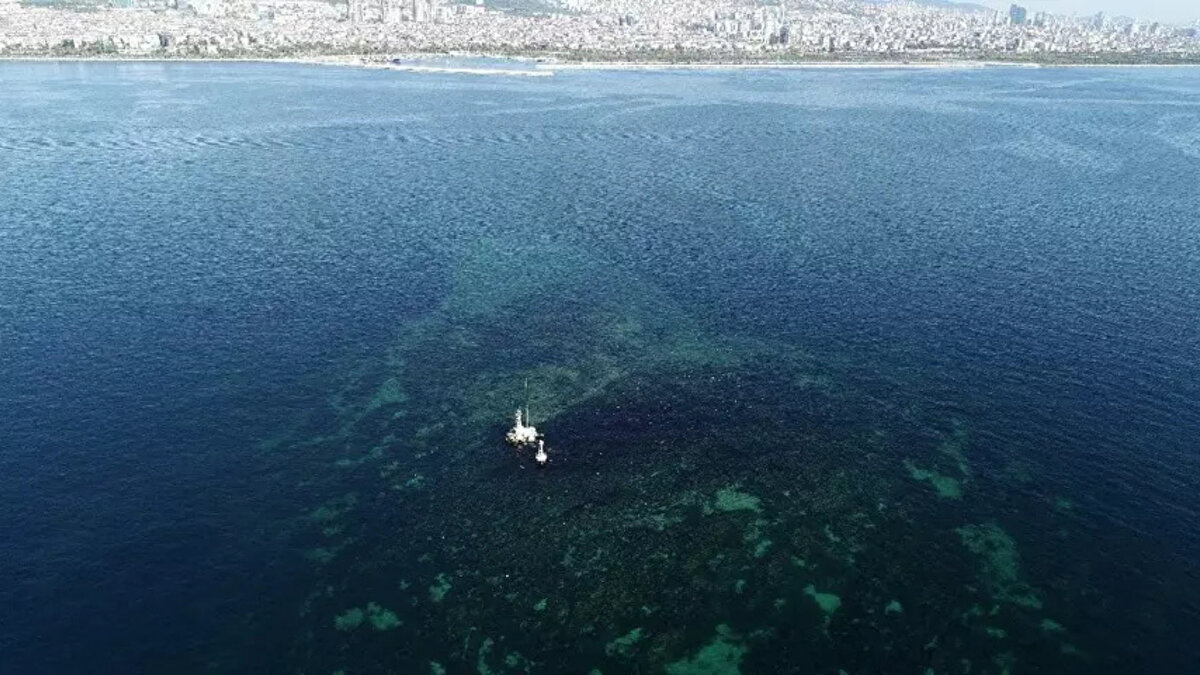 Tarihi kayıtlarda “Manastır Kayalıkları”, “Bostancı Çöken Ada” ve “Höreke” gibi farklı isimlerle geçen Vordonisi’nin M.S. 1010 civarındaki İstanbul depremi sırasında çöktüğü ve bu çökme sonucu tamamen su altında kaldığı belirtiliyor.