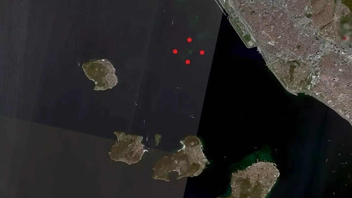 Adanın yeniden fark edilir olması, hem araştırmacıların hem de su altı fotoğrafçıları ve dalış tutkunlarının dikkatini çekti. Deniz altı arkeolojisiyle ilgilenenler için yeni bir keşif noktası olarak öne çıkan Vordonisi, İstanbul tarihine merak duyanlar için de yeniden ilgi odağı olmuş durumda.