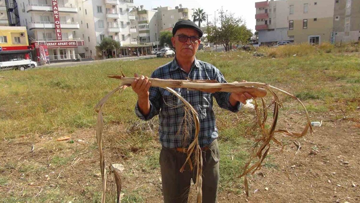 Telefonla yönlendirme yapıyor<br><br>Kuraklık nedeniyle su arayışı yoğunlaşırken, Türkiye’nin farklı bölgelerinden çiftçiler Dayıcık’a ulaşarak tarlalarında su olup olmadığını soruyor. Dayıcık, cep telefonu görüntüleri üzerinden de yönlendirme yaptığını, suyun derinliği ve miktarı hakkında tahminlerde bulunduğunu ifade ediyor. Mahalle sakinleri de yıllardır Dayıcık’ın işaret ettiği noktalardan su çıktığını söyleyerek onu destekliyor.