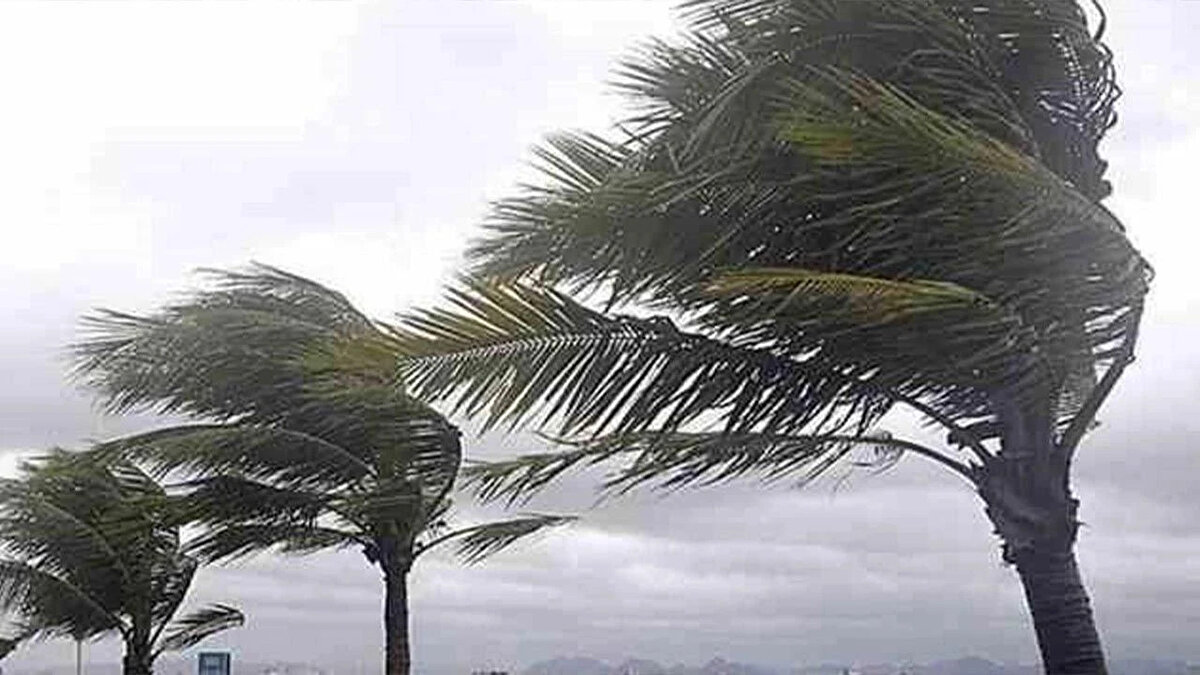 İç Anadolu<br><br>Ankara: 3°C – 17°C<br><br>Eskişehir: 1°C – 18°C<br><br>Kayseri: 2°C – 16°C<br><br>Konya: 3°C – 19°C