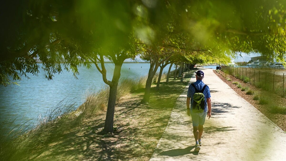 Kaliforniya’da yaşayan 72 yaşındaki Christy Morrill, sağlıklı görünmesine rağmen bir bisiklet turundan sonra hafıza kaybı ve gerçeklik bozulması yaşamaya başladı.