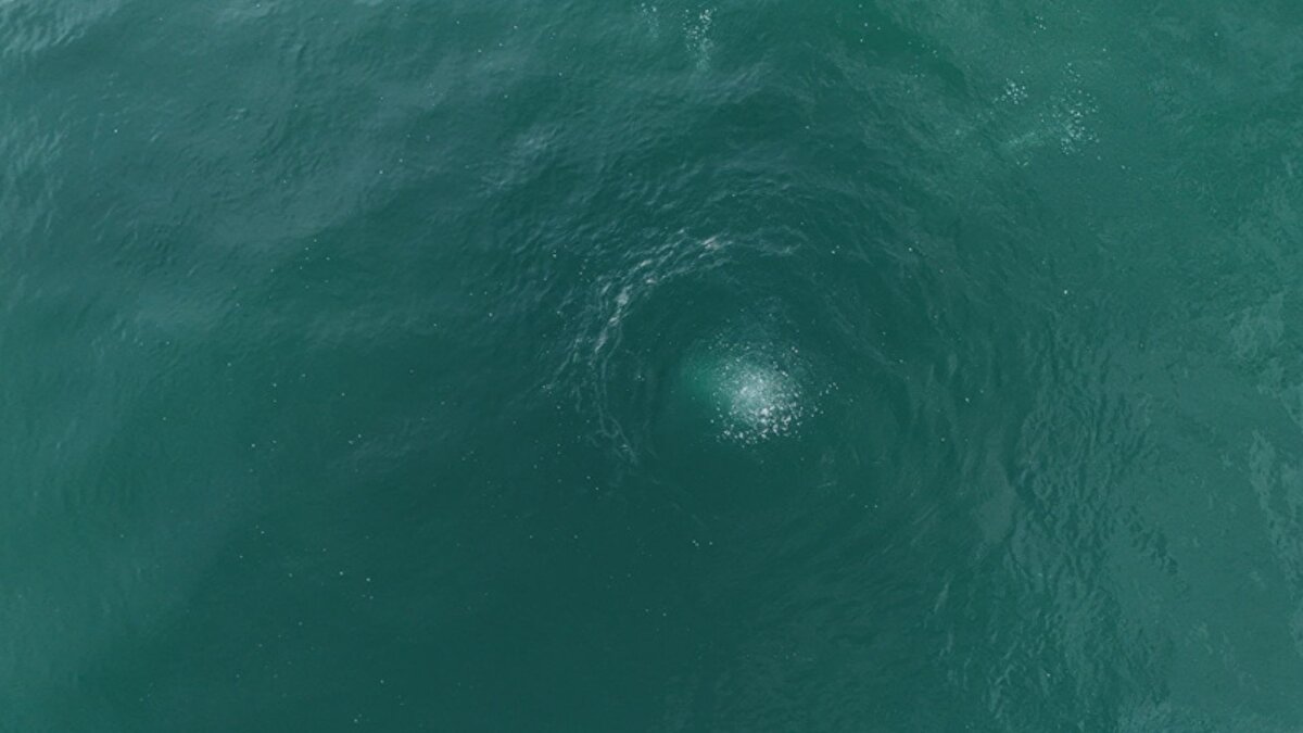 Deprem uzmanı Prof. Dr. Şener Üşümezsoy Sapancı'yı işaret ederek önemli uyarılarda bulunmuştu. Üşümezsoy, Kuzey Anadolu Fayı’nın bölgedeki yönelimini açıklayarak, asıl tehlikenin Marmara Denizi’nin altından değil, Sapanca hattı boyunca uzandığını belirtti.