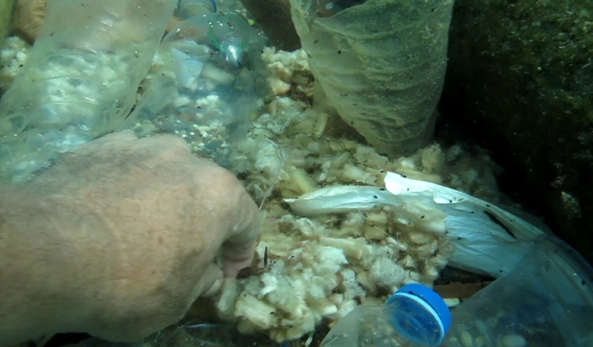 Doğal filtrelerin önemi<br>Gökoğlu, derelerin denize döküldüğü noktalarda bulunan sazlık ve kamışların temizlenmemesi gerektiğini, bu bitkilerin hem biyolojik hem mekanik şekilde suyu filtreleyerek kirleticilerin denize ulaşmasını engellediğini söyledi. Temizlik amacıyla bu alanların kesilmesinin ekosistemi olumsuz etkilediğini belirterek, daha bilinçli çevre politikalarına ihtiyaç duyulduğunu vurguladı.