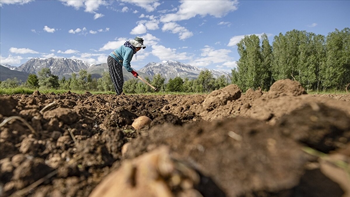 Bakan Yumaklı’nın mesajı<br>Yumaklı, sosyal medya paylaşımında “Çiftçilerimize hayırlı ve bereketli olsun” ifadelerini kullanarak, üreticilerin desteklenmesinin ülkenin gıda güvenliği açısından kritik önem taşıdığını hatırlattı. Ödemelerin gün içinde hesaplara geçeceği belirtildi.