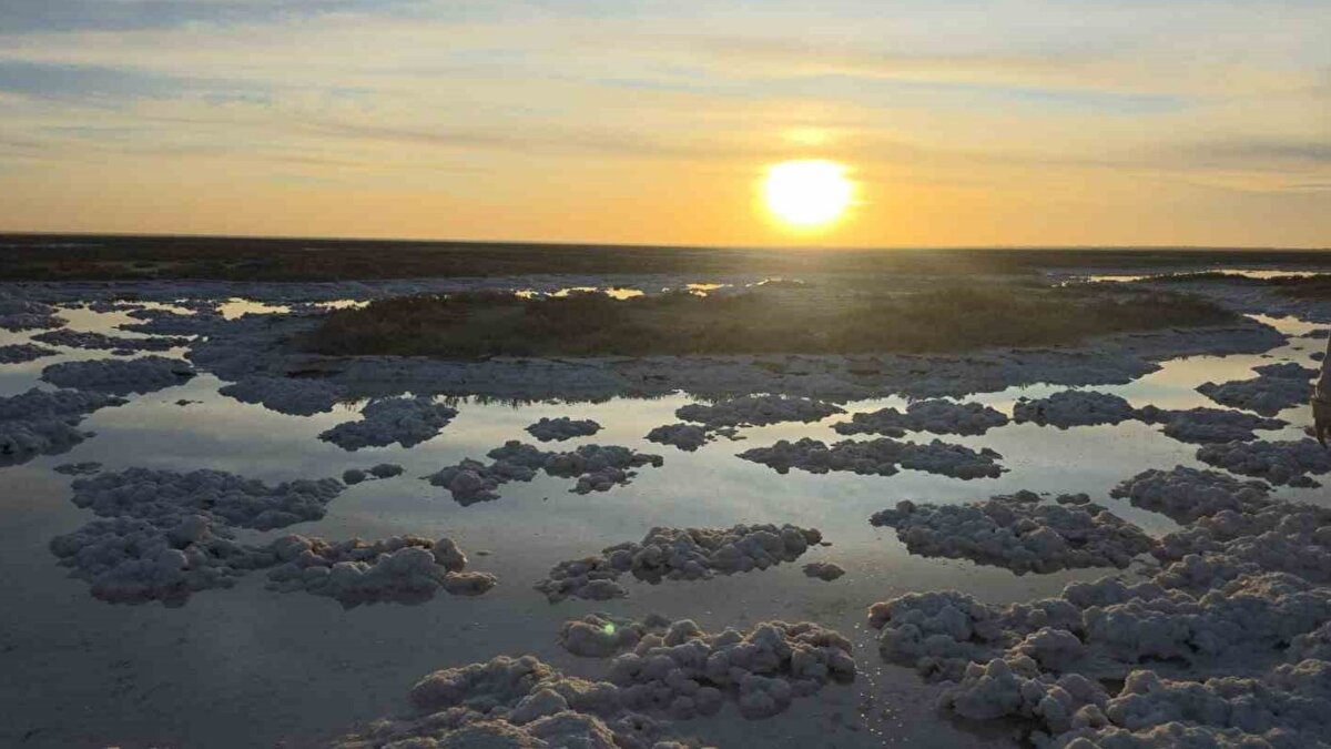 Ankara’dan gelen Edip Doğanay, “Sosyal medyada Tuz Gölü’nü ve mantar görünümlü tuzları gördük, oğlum ısrar etti gelmemiz için. Geldiğimizde gördüklerimiz beklentimizin üstündeydi. Bu doğal oluşumlar Pamukkale travertenlerini andırıyor. Ayak sağlığı için tuzlu alanlarda yürüyüş de faydalı oldu” dedi.<br><br>Eşi Hafize Doğanay ise “Sular çekilmişti ve ortaya çıkan manzara çok etkileyiciydi. Çıplak ayakla tuzlu alanda yürüdük, doğayla iç içe harika bir gün geçirdik” ifadelerini kullandı. Çocukları Selim Doğanay ise, “Sosyal medyadan gördüm, ailemi ikna ettim. Geldiğimizde mantar görünümlü tuzları gördüm, ayaklarıma, ellerime sürdüm. Doğa ile iç içe farklı bir deneyim yaşadım” diye konuştu.