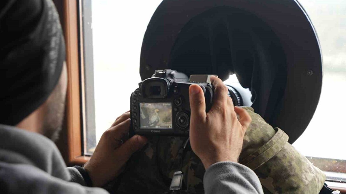 Çeşitli yırtıcı kuşlar da bölgede<br><br>Sorkun köyündeki istasyon yalnızca akbabalarla sınırlı değil. Ak kuyruklu kartal, şah kartal, küçük ve büyük orman kartalları, kara çaylak ve şahin türleri de gözlemlenebiliyor. Dernek ve Orman Genel Müdürlüğü iş birliğiyle 2024 yılında inşa edilen izleme istasyonu, hem ovayı hem de ormanı görebilecek şekilde tasarlandı.