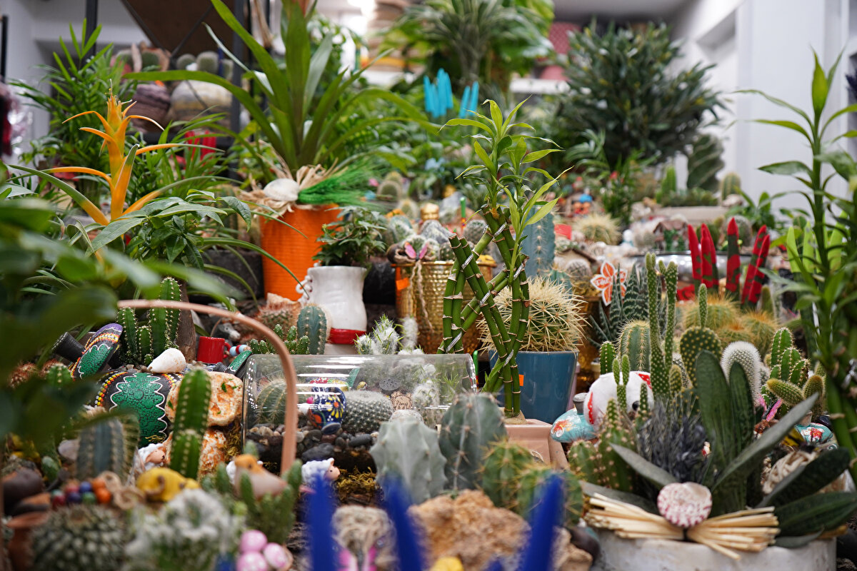 Antalya’da Öğretmenler Günü öncesi çiçekçilerde hareketlilik dikkat çekiyor. Antalya Çiçekçiler Esnaf Odası Şube Başkanı İsmail Bakaç, her yıl olduğu gibi bu yıl da öğretmenlere çiçek almanın değişmeyen bir gelenek olduğunu söyleyerek, “Öğretmene hediye alırken çiçek hep listenin başında oluyor. Bu yıl özellikle kır çiçekleri ve renkli karışık buketler ön plana çıktı. Orkide ve teraryumlara olan ilgi de oldukça yüksek” dedi.