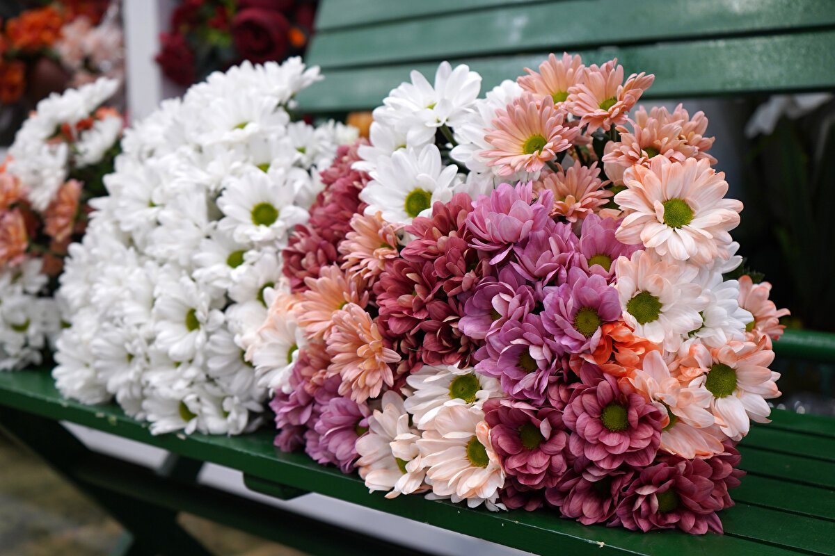 Öğretmenler Günü için hazırlanan Atatürk temalı özel tasarımlar ve okul figürlü aranjmanlar büyük ilgi görüyor. Fiyatların geçen yılki seviyede tutulduğunu vurgulayan çiçekçiler, vatandaşların öğretmenlere verdiği değerin çiçek satışlarına da yansıdığını ifade ediyor.