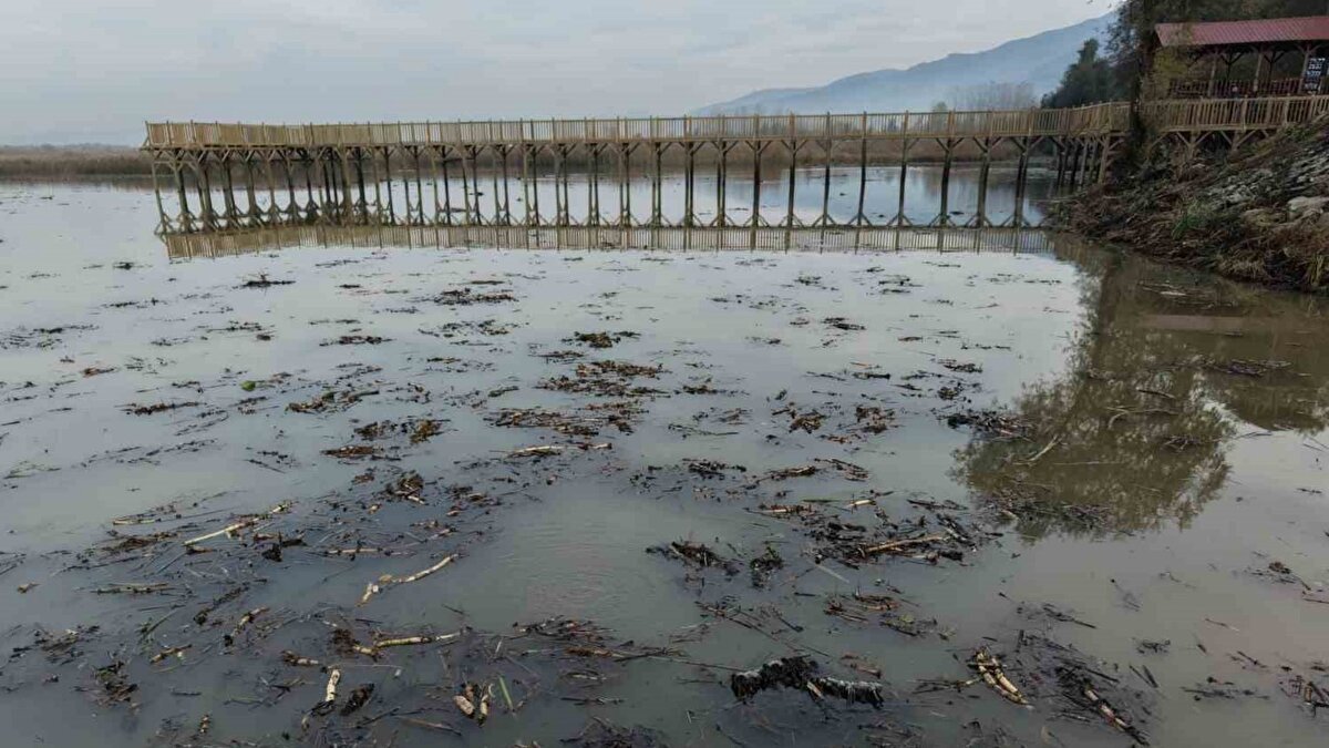 Efteni Gölü çevresindeki vatandaşlar, durumun incelenmesi ve olası riskler hakkında bilgilendirilmek için yetkililere başvurdu. Yetkililer, gölde meydana gelen kabarcıkların nedenini araştıracaklarını ve halkı bilgilendireceklerini ifade etti. Uzmanlar ise bu tür olayların göl ekosistemi ve yeraltı gaz hareketleriyle bağlantılı olabileceğini belirtiyor.
