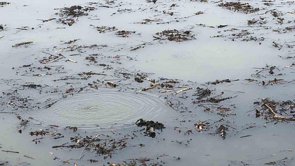 Sapanca gölü benzeri durum<br><br>Önceki günlerde Sakarya’daki Sapanca Gölü’nde de benzer bir fokurdamanın görüldüğü hatırlatılırken, Efteni Gölü’nde yaşanan bu durumun bölgedeki doğal su hareketleri ve jeolojik aktivitelerle ilişkili olabileceği öne sürüldü. Çelik, “Uzun süredir gölü takip ediyoruz, ancak böyle bir olayla ilk kez karşılaştık. Uzman açıklamalarını merakla bekliyoruz” dedi.
