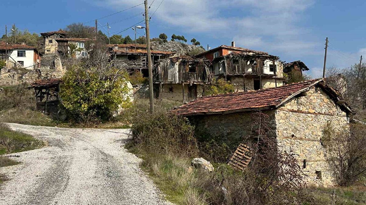 1994’ten sonra neredeyse tamamen terk edilen Çökene’nin statüsü 2008’de düşürüldü ve mahalle, yakınındaki Bademli Mahallesi’ne bağlandı. Yaklaşık 10 yıl önce çözülen su sorununun ardından köye yeniden dönüşler başladı.
