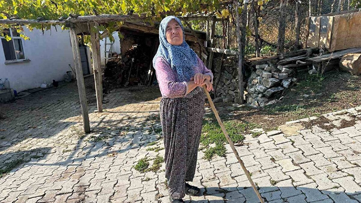 “Su olmayınca köy dağıldı”<br><br>Köyde yaşamı yaşları ve koşullar nedeniyle kolay olmamasına rağmen memleketlerinden kopamadıklarını söyleyen 64 yaşındaki Fadime Kaya, su krizinin köyü boşalttığını belirterek şunları anlattı:<br><br>“Su olmayınca köy halkı dağıldı ve bir daha geri dönmedi. Şimdi sadece 3 hanede duman tütüyor. Diğer iki hanede eşleri vefat etmiş kadınlar yaşıyor. Önceden 50’den fazla hanenin bulunduğu mahallede şimdi 4 kişiyiz.”