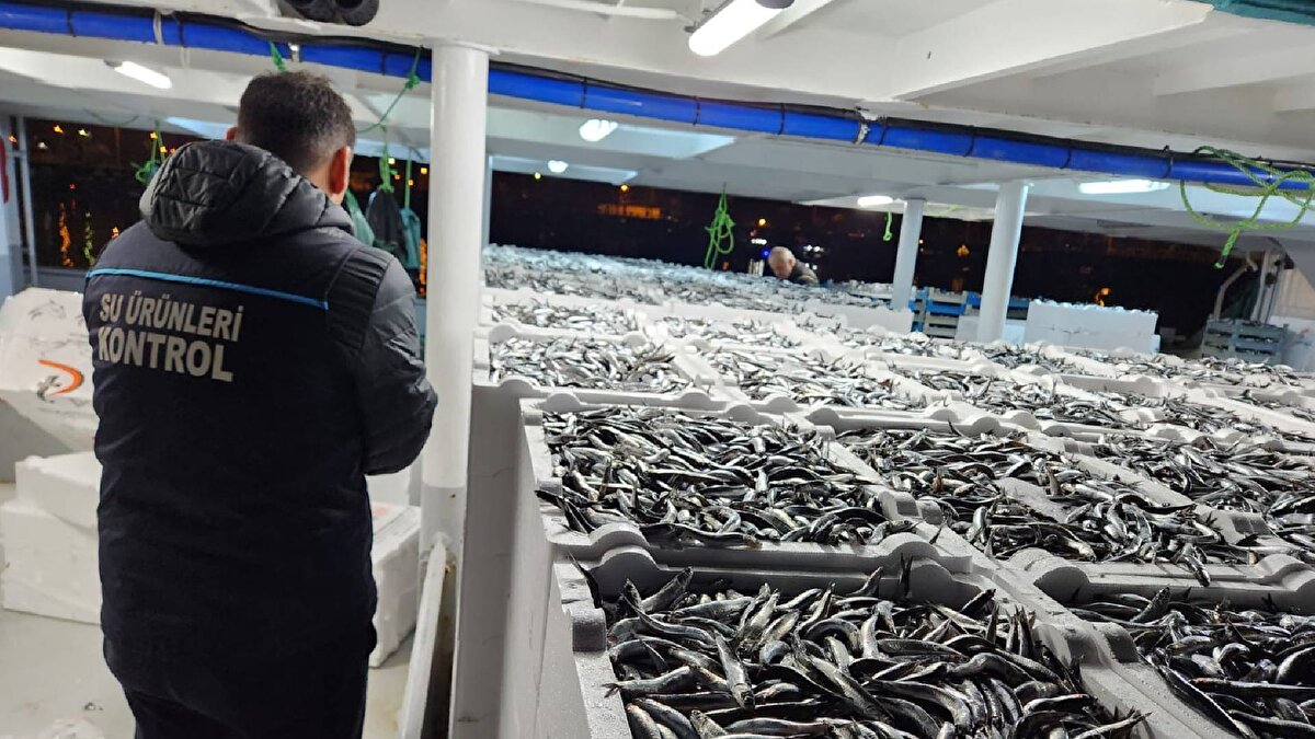 Öte yandan Su Ürünleri Kontrol ve Denetim ekipleri, yasa dışı avcılığı engellemek için karaya çıkış noktalarında, nakil güzergâhlarında ve satış noktalarında denetimlerini sürdürüyor.