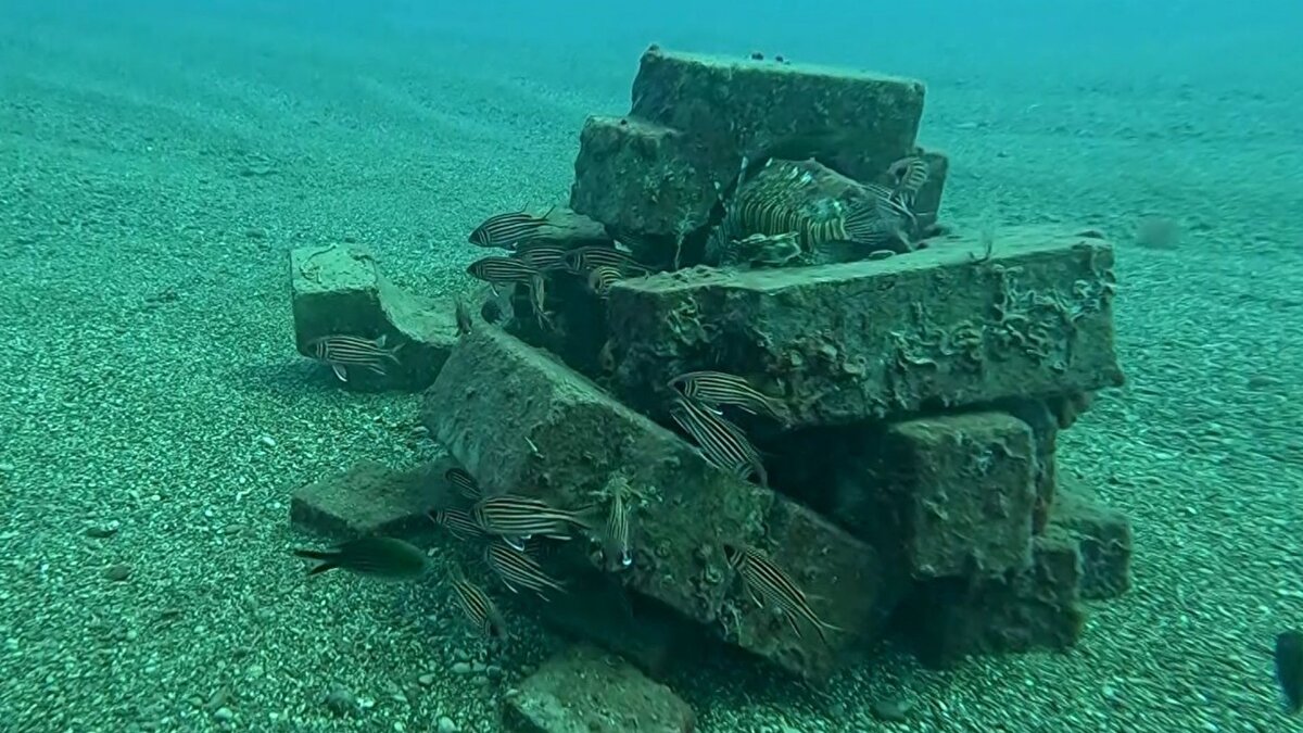 Sahilde daha önce su çekme amacıyla kullanılan ve artık kullanılmayan bir borunun yerinden oynaması sonucu dağılan bloklar, ekip tarafından bir araya getirilerek düzenli bir resif modeli oluşturuldu. Sualtı kamerasıyla kaydedilen çalışmada, resifin çok kısa sürede balıkların ilgisini çektiği ve bölgede yaklaşık 12 türün barınak olarak bu alanı kullanmaya başladığı tespit edildi.