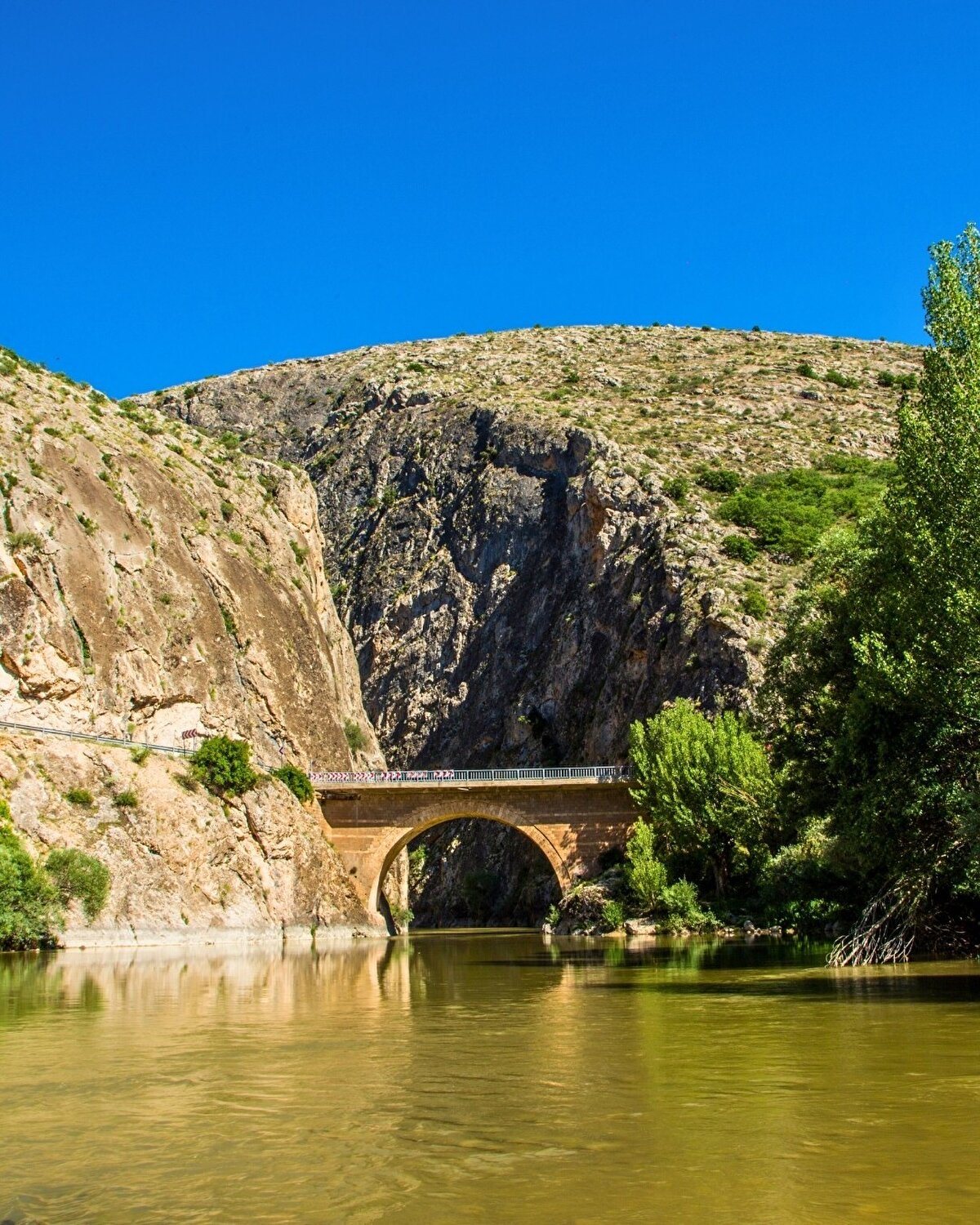 Yalnızca bir su yolu olmayan Karasu Nehri, çeşitli kuş türleri ve yaban hayatı için bir yaşam alanı aynı zamanda. Erzincan’ın tarihsel, kültürel ve doğal dokusunun bir taşıyıcısı da olan Karasu, yıllardır bölge halkının yaşamında önemini korumaya devam ediyor.