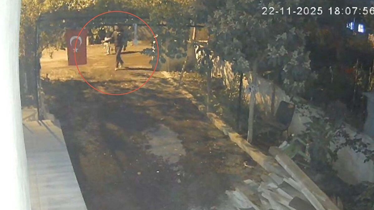 Sokak sakinleri, son dönemde özellikle cins tavuk ve güvercin hırsızlıklarının arttığını belirterek yetkililerden güvenlik önlemlerini artırmasını istedi. Sertan Yılmaz, “Hırsızlar kümemizi seçiyor, normal tavukları ellemiyor. Daha önce keşif yapmış gibiler, gece karanlığında fırsat kolluyorlar” dedi.