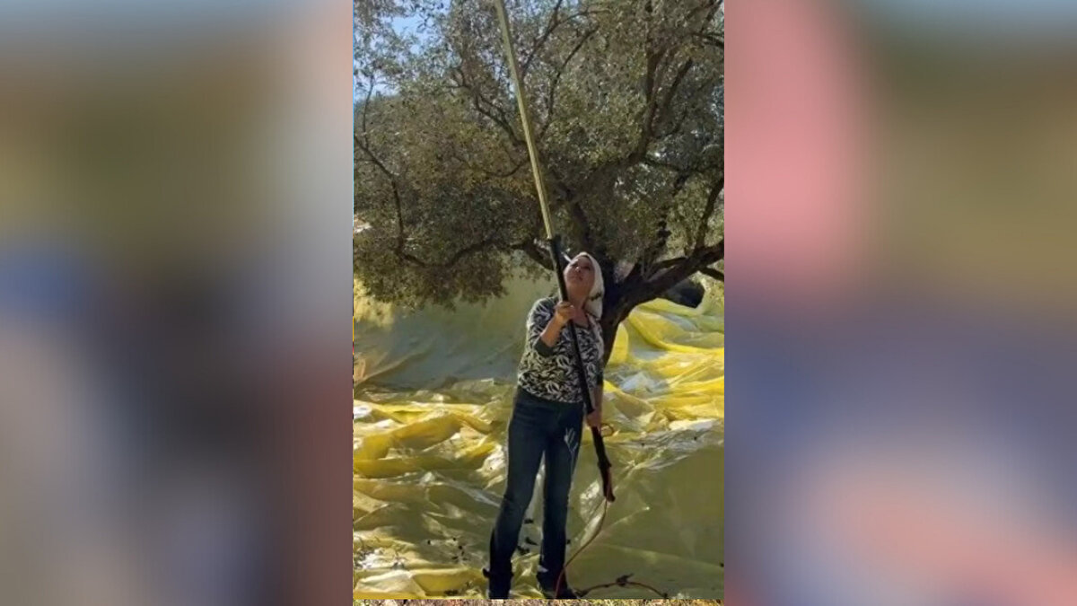 “Köy hayatı çok yakıştı”, “Tam bir köy kızı olmuş”, “Görünce tanımadım bile” gibi yorumlar, ünlü ismin yeni yaşam tarzına duyulan şaşkınlığı ve beğeniyi gözler önüne serdi.