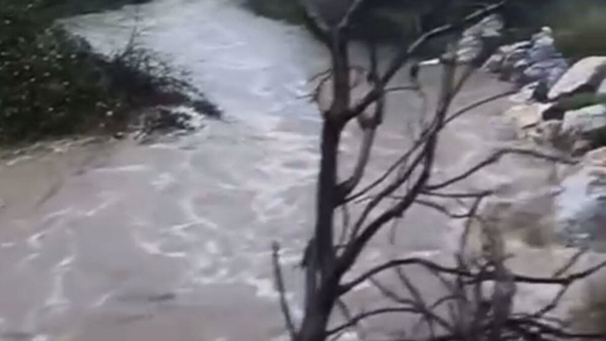 Meteoroloji uzmanları, sağanağın gün boyunca etkili olacağını bildirerek vatandaşları tedbirli olmaya çağırdı. AFAD yetkilileri ise, özellikle su birikintilerinin yoğun olduğu bölgelerde araç ve yaya trafiğine dikkat edilmesini önerdi. Uzmanlar, ani sel riskine karşı yağış alan yerlerde uyarıların takip edilmesini tavsiye etti.