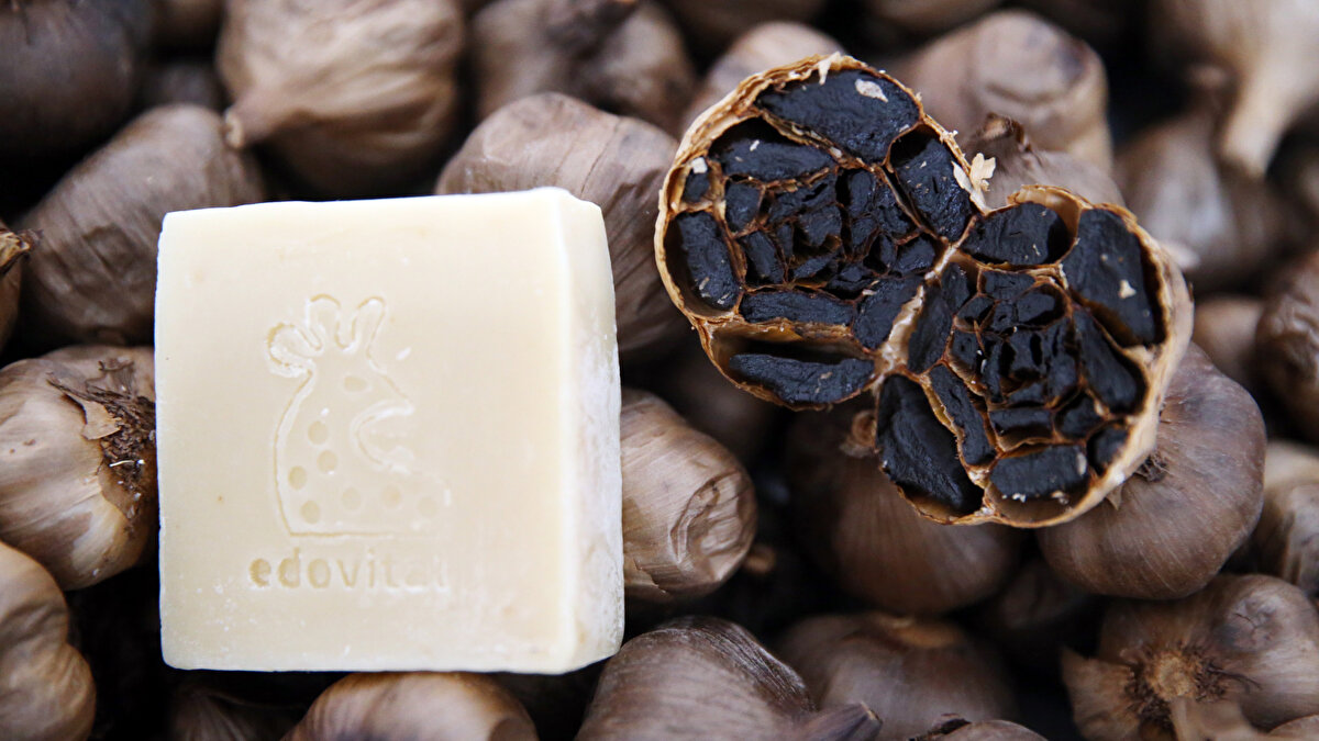 Türkiye’nin dört bir yanına gönderiliyor<br><br>Cebeci, online satış kanalları üzerinden Türkiye’nin hemen her bölgesine ürün ulaştırdıklarını söyledi. Kullanıcılardan olumlu geri dönüşler aldığını belirten girişimci, siyah sarımsaktan yeni kozmetik ürünler geliştirmek için AR-GE çalışmalarının sürdüğünü ifade etti.