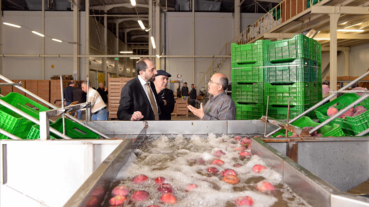 Türkiye’nin önemli yaş meyve-sebze üreticilerinden Saraylım Tarım, yaşadığı finansal sorunlar nedeniyle konkordato talep etti. Çorum 4. Asliye Hukuk Mahkemesi, şirkete daha önce verilen üç aylık geçici mühleti değerlendirerek iki ay daha uzatma kararı aldı.