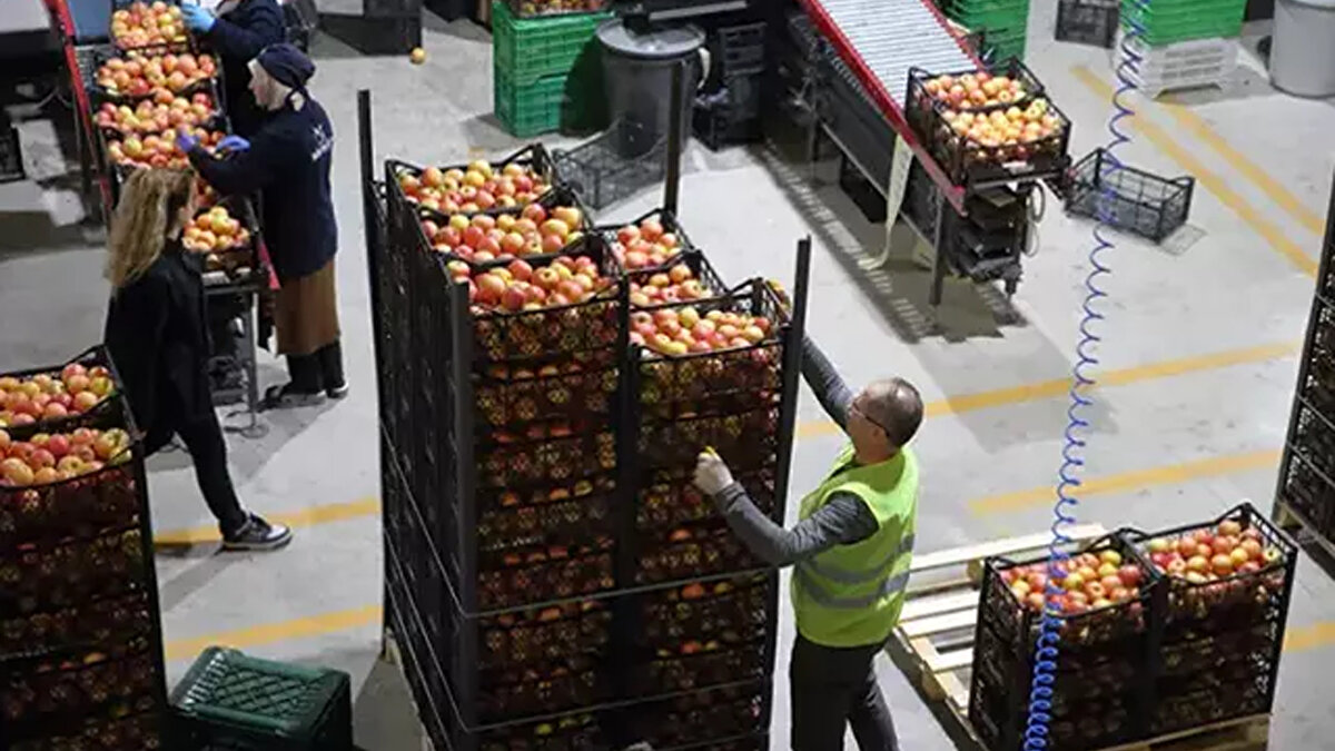 Kritik Tarih: 28 Ocak 2026<br><br>Konkordato sürecinin devam edip etmeyeceği, mahkemenin 28 Ocak 2026’da yapacağı duruşmada netleşecek. Şirketlerin mali yapılarını toparlayıp toparlayamadığı, sunulan projelerin uygulanabilirliği ve finansman planları bu duruşmada değerlendirilecek.