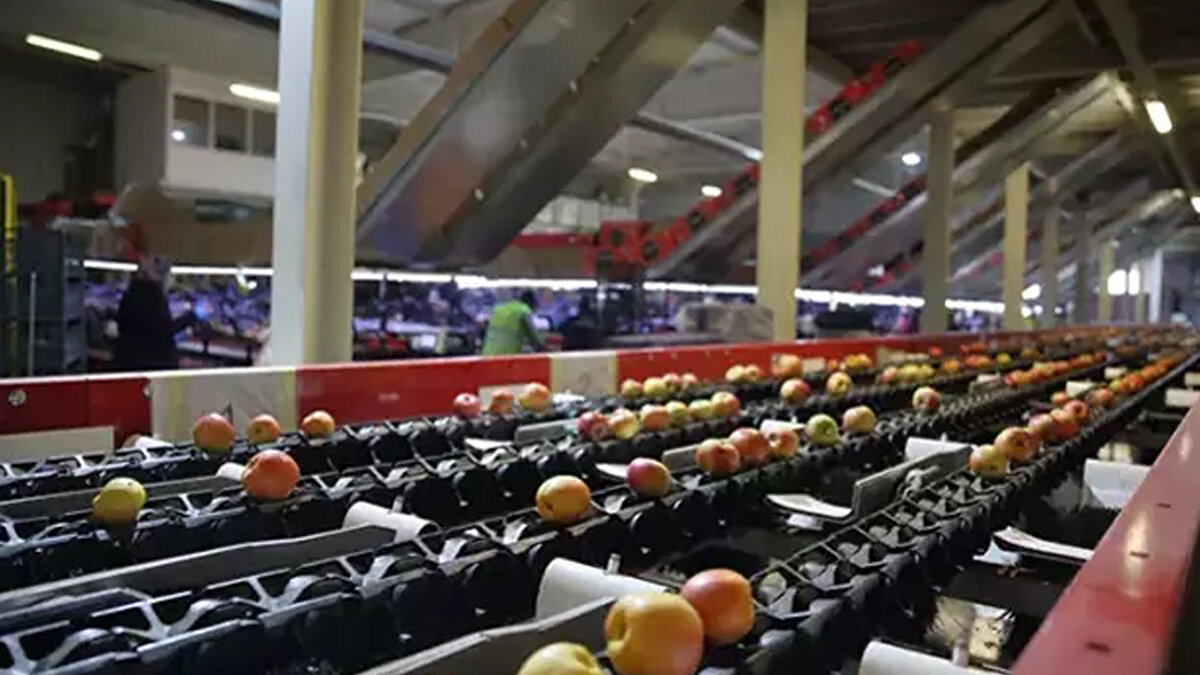 25 Ülkeye İhracat Yapan Bir Marka<br><br>Çorum’da mühendis bir aile tarafından kurulan Saraylım Tarım, Türkiye’nin 35 ilinden temin ettiği yaş meyve ve sebzeleri işleyerek 25 farklı ülkeye ihraç eden bir marka konumuna ulaşmıştı. Firma, özellikle son yıllarda ihracat hacmiyle sektörde bilinirliğini artırmıştı.