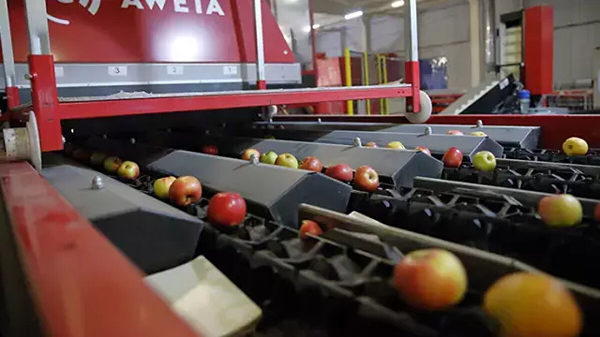 Mali Veriler Krizin Sinyalini Vermiş<br><br>Şirketin kamuya açık 2023 yılı bilançoları, net satışlarda artış olsa da net kârlılık oranlarında belirgin düşüş yaşandığını ortaya koyuyor. Bu tablo, finansal sıkıntıların bir süredir biriktiğini ve mevcut krizin sinyallerinin daha önce verildiğini gösteriyor.