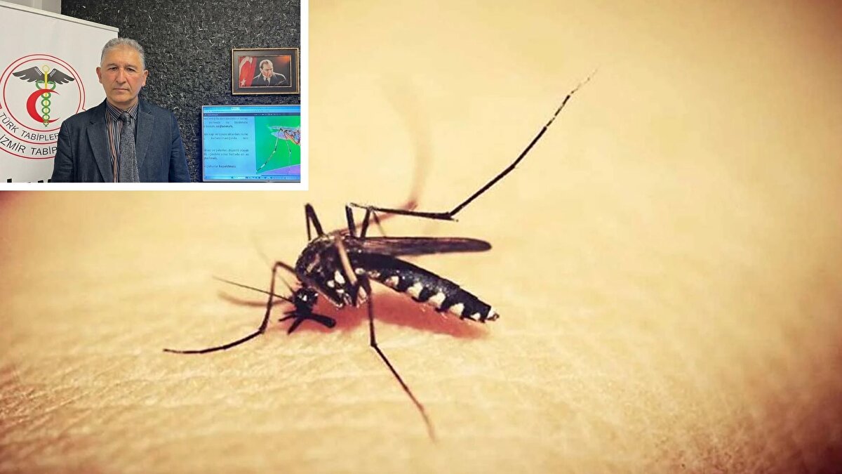 Vektörlerle bulaşan enfeksiyonlar ve riskler<br><br>Ayhan, Batı Nil Ateşi vakalarının Marmara ve Trakya bölgelerinde tespit edildiğini, Ege Bölgesi’nde ise geçen yıl bazı vakaların görüldüğünü belirtti. Türkiye’de Manisa’da Sağlık Bakanlığı kayıtlarına göre altı kişide enfeksiyon doğrulandı. Uzm. Dr. Ayhan, “Vektörler uygun koşullarda hızla çoğalabiliyor, dolayısıyla daha önce karşılaşmadığımız bazı enfeksiyonların yayılması mümkün” uyarısında bulundu.