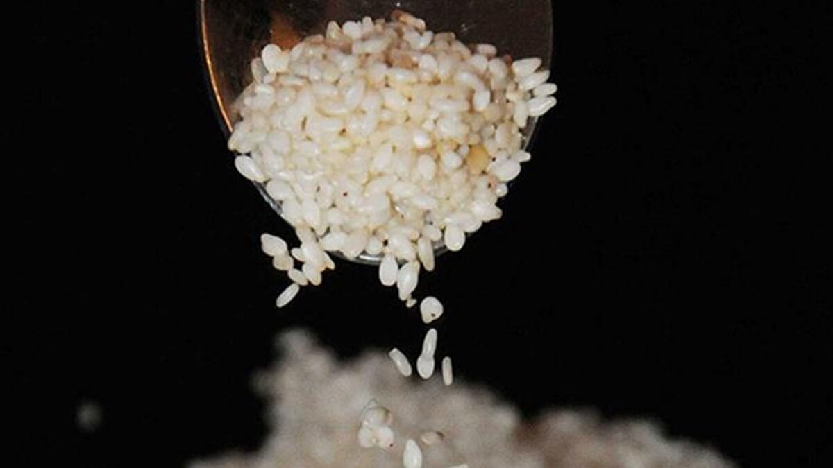 En yaygın alerjen tehlikesi<br><br>Susam, son yıllarda küresel çapta en çok dikkat edilmesi gereken gıda alerjenlerinden biri haline gelmiştir. Bu durumun ciddiyeti, 2021 yılı itibarıyla ABD’de susamın resmi olarak önemli bir alerjen kabul edilmesiyle tescillenmiştir. Alerjisi olan kişilerde kurdeşen, mide krampları, nefes darlığı ve hatta ölümcül olabilen anafilaksi gibi ciddi reaksiyonlar görülebilmektedir. Özellikle çocuklarda alerji sıklığının artması nedeniyle, Ocak 2023’ten sonra paketlenmiş gıdalarda susam içeriğinin etikette zorunlu olarak belirtilmesi kuralı getirilmiştir. Bu, alerjisi olan bireyler için hayati bir önlem olmuştur.