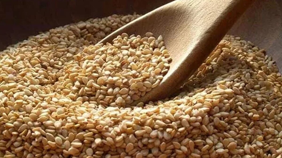 Böbrek taşı riski ve porsiyon kontrolü<br><br>Susamın aşırı tüketimi, hassas bünyelerde böbrek taşı oluşumunu teşvik edebilir. Bunun nedeni, susamda bir miktar oksalat bileşiğinin bulunmasıdır. Daha önce böbrek taşı öyküsü olan bireylerin, susam ve susam içeren ürünleri ölçülü tüketmesi büyük önem taşımaktadır. Ayrıca, susamın doğal olarak yağ ve enerji açısından çok zengin olması nedeniyle, özellikle kurabiye veya atıştırmalıklar gibi işlenmiş gıdalarla birlikte fazla miktarda alınması, vücut ağırlığını artırarak dolaylı olarak kan şekeri ve trigliserit dengesini olumsuz etkileyebilir.