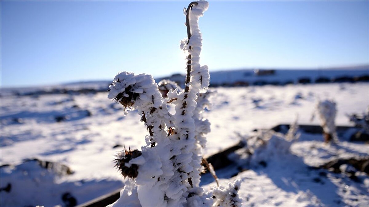 Yapılan ölçümlere göre en düşük sıcaklıklar listesinde ilk sırayı -6.6 derece ile Erzurum Palandöken aldı.
