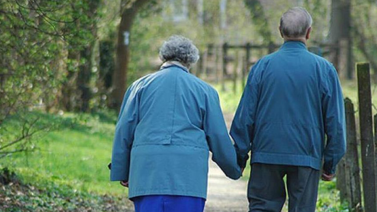 Verilere göre Türkiye'de en uzun yaşam süresine sahip olan illerinde çoğunlukla Ege ve Karadeniz bölgelerinde bulunması dikkatlerden kaçmadı.