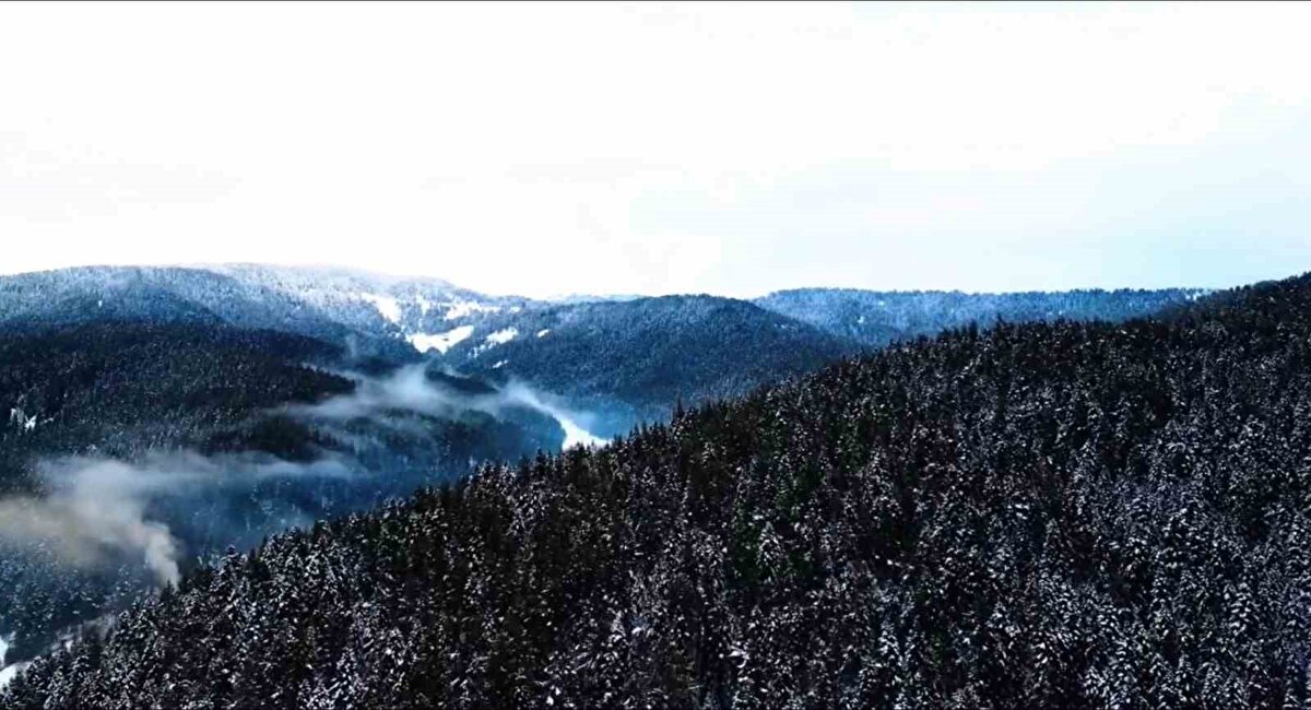 Kar yağışının ardından sisin bölgeye hakim olması, Ilgaz Dağı’nın üzerinde kartpostallık bir atmosfer oluşturdu. Havadan kaydedilen görüntüler, dağın hem yerli ziyaretçiler hem de doğa fotoğrafçıları için neden cazibe merkezi olduğunu gösteriyor.