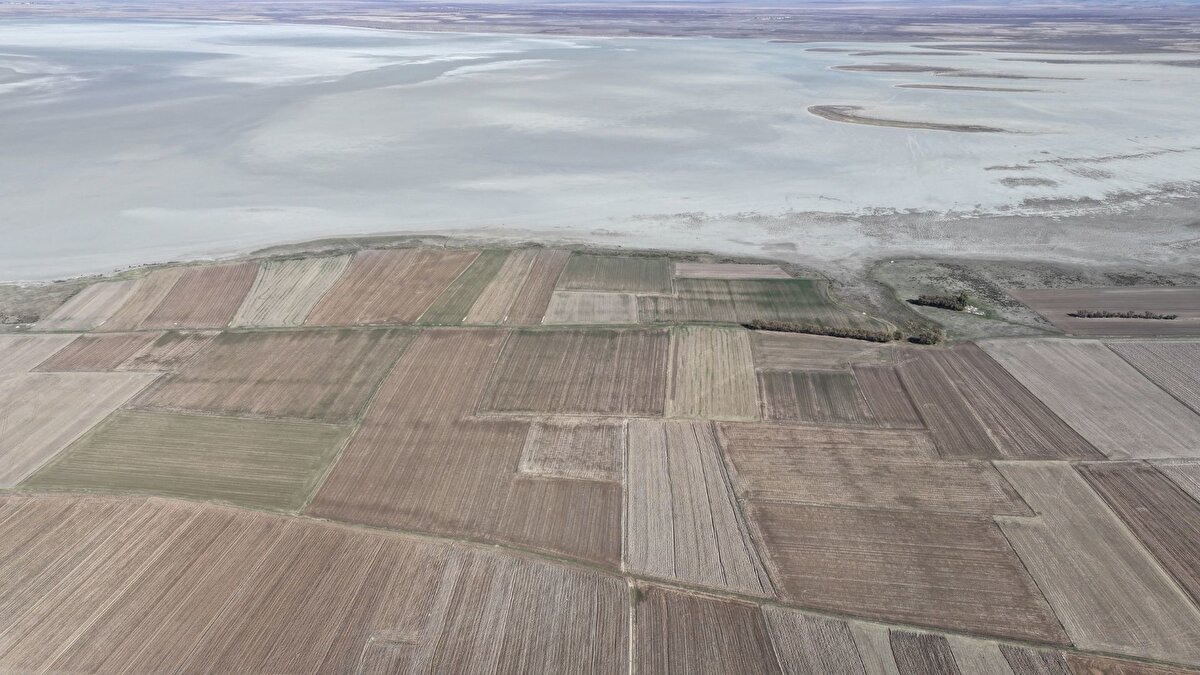 Kırşehir, meteorolojik verilere göre son 65 yılın en düşük yağış seviyeleriyle karşı karşıya kaldı. Bu aşırı kuraklık, bölgenin en önemli sulak alanlarından biri olan Mucur ilçesindeki Seyfe Gölü Kuş Cenneti’ni olumsuz etkiledi. Göl, sadece yağış eksikliği değil, aynı zamanda kendisini besleyen Seyfe, Horla, Yenidoğanlı ve Malya pınarlarından beklenen su akışının gerçekleşmemesi nedeniyle 10 bin 700 hektarlık alanının tamamını kaybetti ve tamamen kurudu.