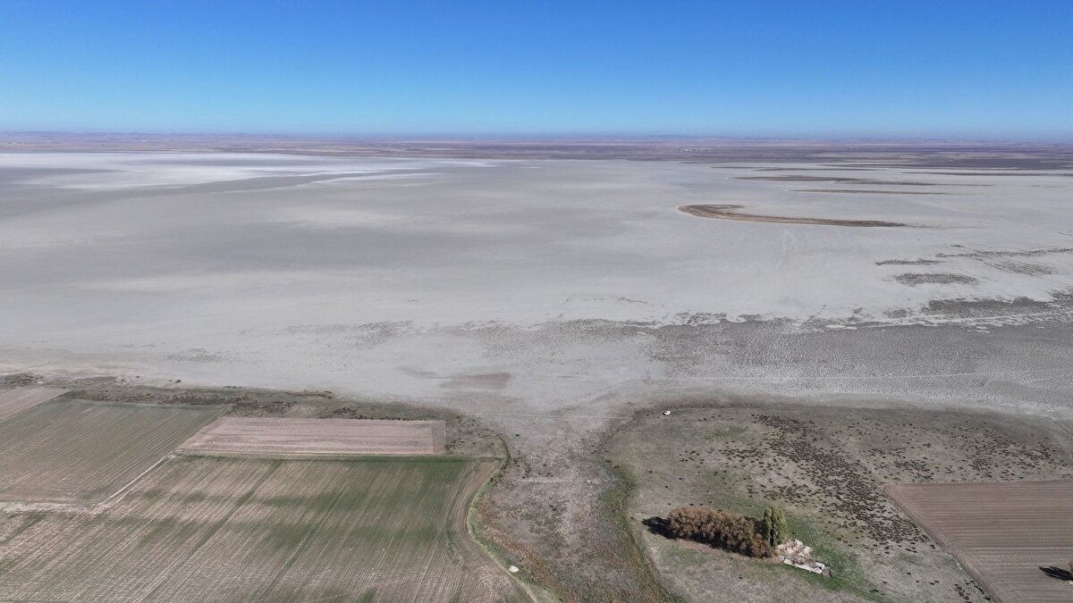 Kuşlar sessizliğe büründü: Ekolojik felaket<br><br>Daha önceki dönemlerde nesli tükenme tehlikesi altındaki 27 tür de dahil olmak üzere toplam 187 kuş türüne ev sahipliği yapan Seyfe Gölü, kurumanın ardından ekolojik bir felaket yaşadı. Flamingo, turna, angut ve ördek gibi göçmen kuş türleri, su olmaması nedeniyle bölgeyi tamamen terk etti. Kırşehir Ahi Evran Üniversitesi Ziraat Fakültesi Öğretim Üyesi Prof. Dr. Sultan Kıymaz, gölün kurumasındaki temel faktörlerin yetersiz yağış, pınar sularının kesilmesi ve özellikle yeraltı suyunun bölgede bilinçsizce kullanılması olduğunu belirtti.