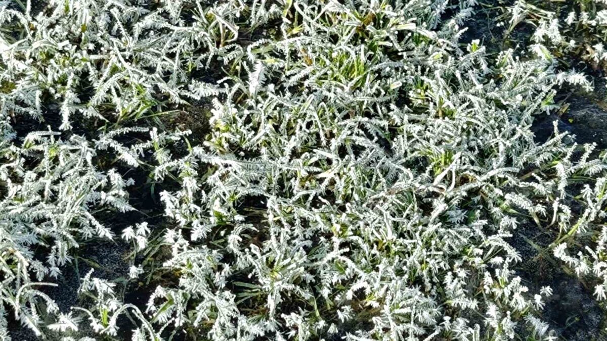 Kars’ta hava sıcaklığının sıfırın altında 13 dereceye kadar gerilemesi, kentte gündelik hayatı ciddi biçimde etkiledi. Türkiye’nin en soğuk illeri arasında gösterilen şehirde kar yağışı sonrası başlayan kuru soğuk, gece boyunca etkisini artırdı.