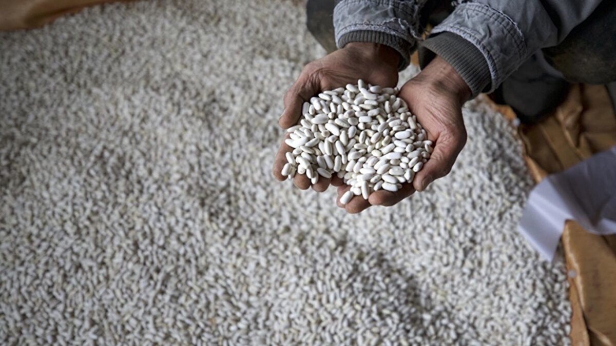 Kamuoyuna uyarı: Resmi verilere itibar edin<br><br>Açıklamanın sonunda, kuru fasulyeye erişimde zorluk yaşanacağına ilişkin söylemlerin gerçek dışı olduğu yeniden vurgulandı. DMM, vatandaşların doğruluğu teyit edilmemiş iddialara değil, resmi kurumların paylaştığı verilere güvenmesi gerektiğini belirtti.