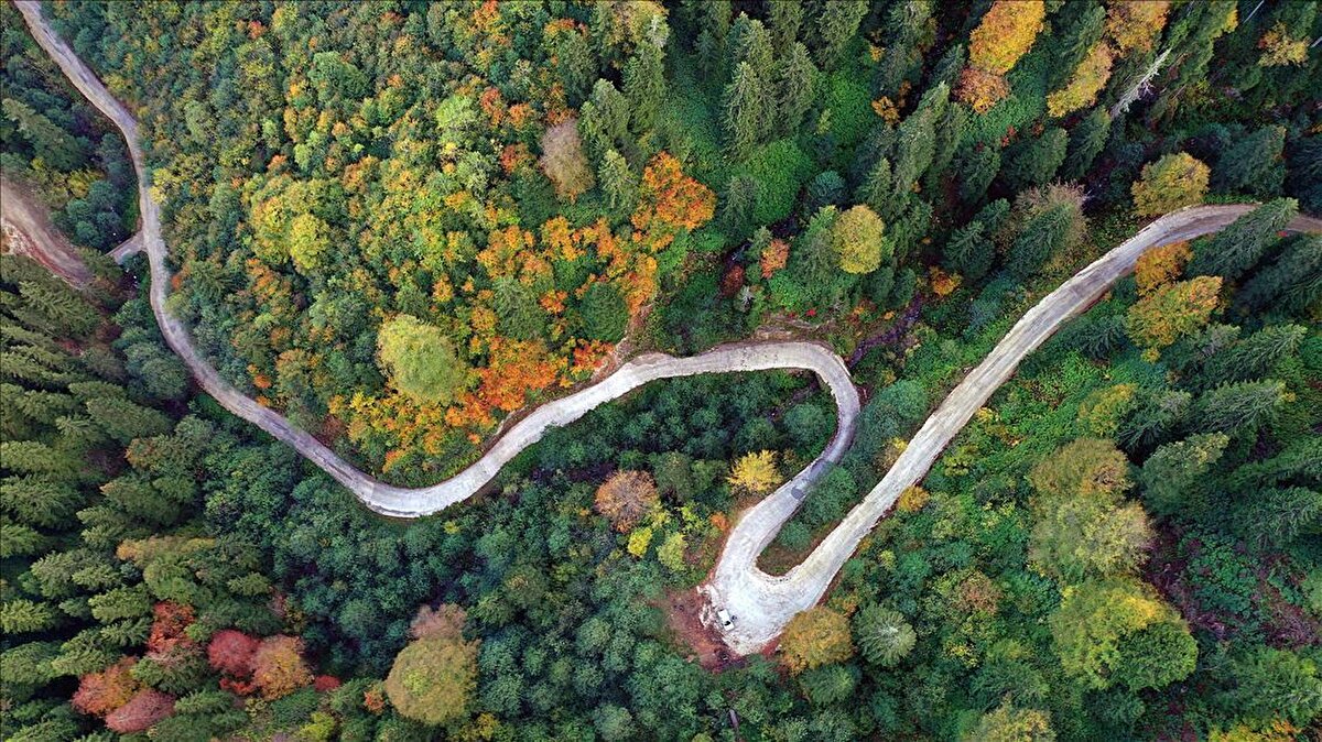 2025 yılına ait Küresel Barış Endeksi (GPI) yayımlandı ve dünyanın en huzurlu ülkeleri belli oldu. Çatışmaların arttığı, sınır politikalarının sertleştiği, ekonomik ve jeopolitik gerilimlerin yoğunlaştığı bir dönemde hazırlanan rapor, küresel barış seviyesinin genel tabloda gerilediğini ortaya koydu.