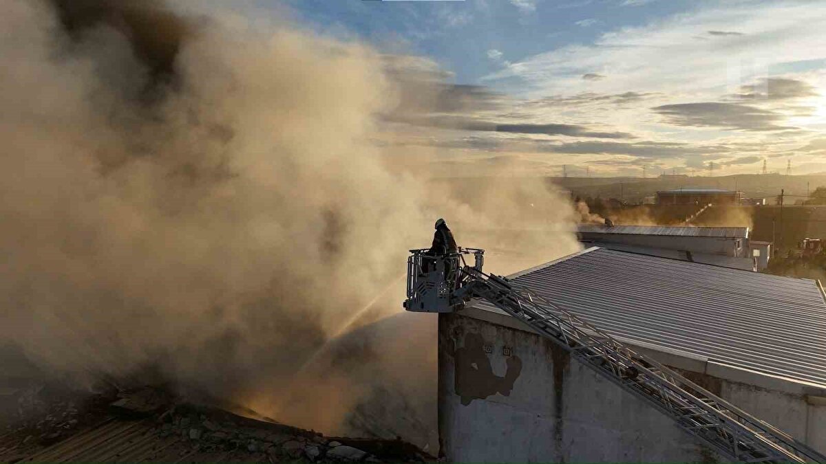 İstanbul’un sanayi bölgelerinden Tuzla Tepeören Mahallesi’nde bulunan bir kauçuk fabrikasında sabah 07.30 civarında yangın çıktı. İlk belirlemelere göre, fabrikanın üretim alanında henüz nedeni tespit edilemeyen bir noktada başlayan alevler kısa sürede yayılmaya başladı. Kauçuk malzemeler nedeniyle yükselen siyah duman, Tuzla’nın birçok noktasından ve çevre ilçelerden görüldü.