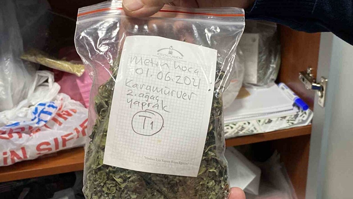 Eşi olmayan çeşitlilik<br><br>Prof. Katar, merkezin Türkiye’deki diğer fidanlıklarda bulunmayan ölçüde geniş bir koleksiyona sahip olduğunun altını çizerek, tıbbi aromatik bitkilerin gelecekte sağlık, kozmetik ve gıda endüstrilerinde daha kritik bir rol oynayacağını belirtiyor. Bu genetik kaynakların, hem raf ömrü uzatıcı doğal bileşenlerin geliştirilmesinde hem de bazı hastalıklar için bitkisel çözümler üretmede temel teşkil ettiğini ifade ediyor.