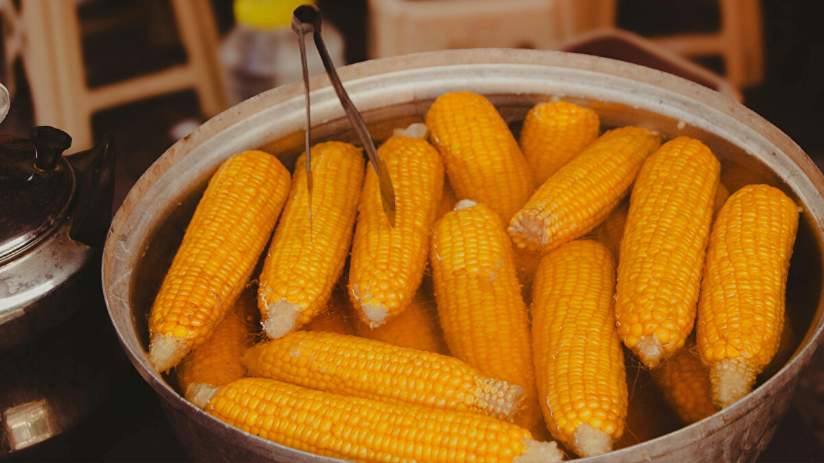 “Biyolojik savaş” iddiası: Tavuk ve mısır eleştirisi<br><br>Güvenlik uzmanı Coşkun Başbuğ, doğurganlıktaki gerilemeyi yalnızca sosyoekonomik gerekçelerle açıklamanın doğru olmadığını savunuyor. Başbuğ’a göre, gıda üzerinden yürütülen bir “biyolojik savaş”, özellikle genç nüfusu hedef alıyor.<br>Başbuğ, tavuk ve mısır tüketiminin yaygınlaşmasıyla üreme sağlığı üzerinde olumsuz etkiler görüldüğünü öne sürerek, “Bu iki ürün kısırlığı artıran en büyük etkenlerden. Türkiye bir dönem beyaz et tüketimine yönlendirildi, ardından doğurganlıkta ciddi düşüş yaşandı” ifadelerini kullanıyor.