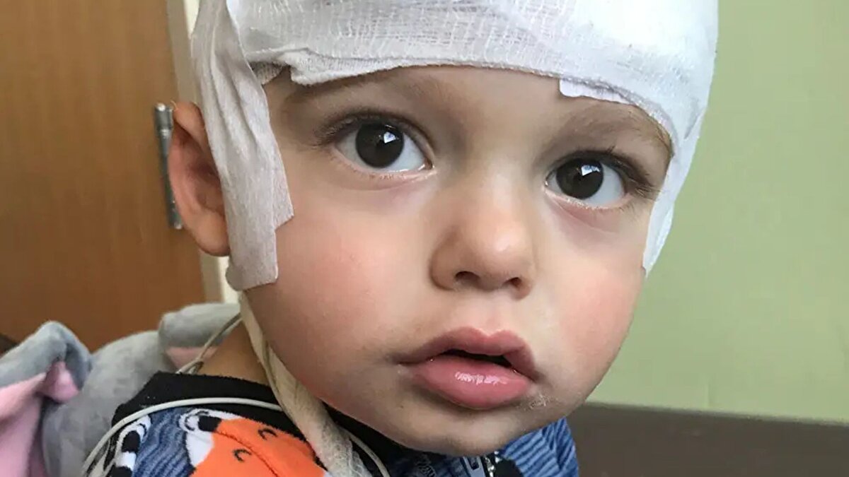 Freed, bilim insanlarıyla iş birliği yaparak hastalığın gen düzeyinde tedavi edilebilmesi için bağış topladı, laboratuvar çalışmalarını finanse etti ve genetik olarak düzenlenmiş hayvan modelleri üzerinde yürütülen araştırmaları destekledi. Araştırma süreci COVID-19 döneminde yavaşlasa da ekip çalışmalarını sürdürdü ve beş yıl sonunda tedavi FDA’ya sunulabilecek aşamaya geldi.