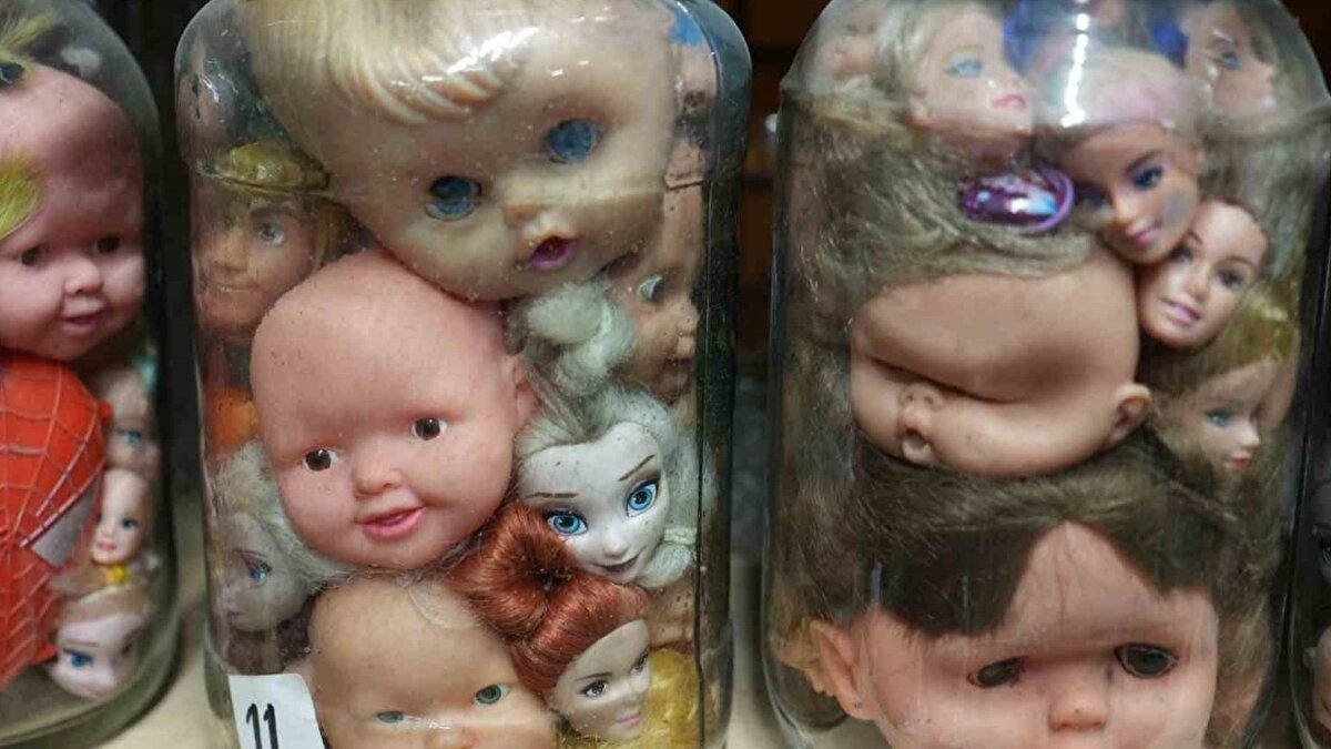 Farklı dönemlerden binlerce parça: Kavanozlarda ve akvaryumlarda sergileniyor<br><br>Oyuncak bebek kafalarının 1940’lardan 2000’lere kadar uzanan geniş bir tarih aralığına sahip olduğu belirtiliyor. Kavanozların küçük olanlarında yaklaşık 50, büyük olanlarında ise 100’e yakın parça bulunduğunu aktaran Dinibütünoğlu, koleksiyon sahibinin ilerleyen yaşında kavanozlarla uğraşamadığı için akvaryumlara yöneldiğini söylüyor. Koleksiyon, İzmit’te bu şekliyle korunarak sergileniyor.