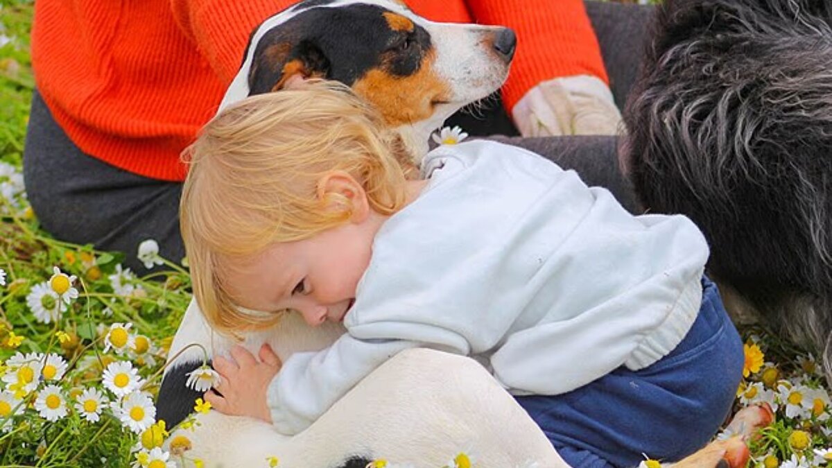 Robbie Deeth, pitbull’un daha önce hiç sorun çıkarmadığını ve oğlunun onunla sık sık oynadığını belirtti. Köpek, 10 metrelik zincire bağlıydı ve bahçe, yakınlardaki ormanlık alana açılıyordu. Anne, civardaki avcıların kullandığı silah ve düdük seslerinin köpeği korkutmuş olabileceğini düşündüğünü söyledi.