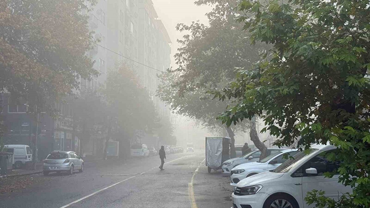 Diyarbakır’da yoğun sis sabah saatlerinde etkisini artırarak hem kara ulaşımını hem de hava trafiğini sınırlandırdı. 
