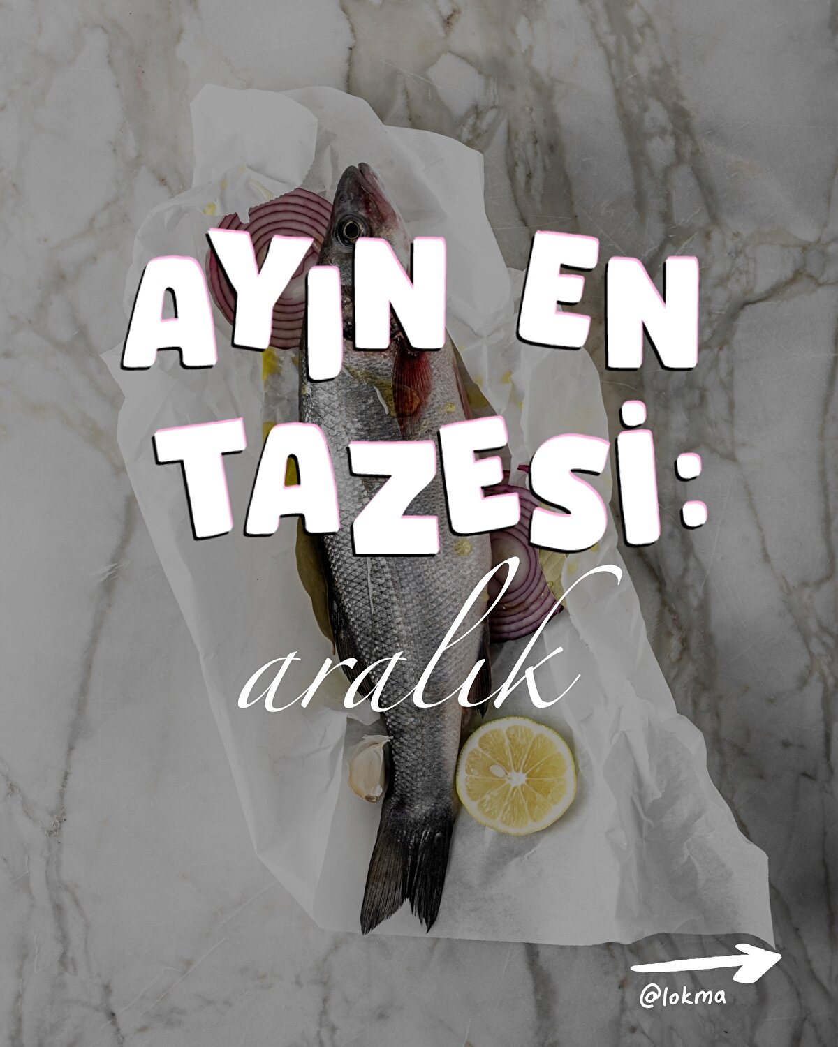 Aralık ayı balıkları