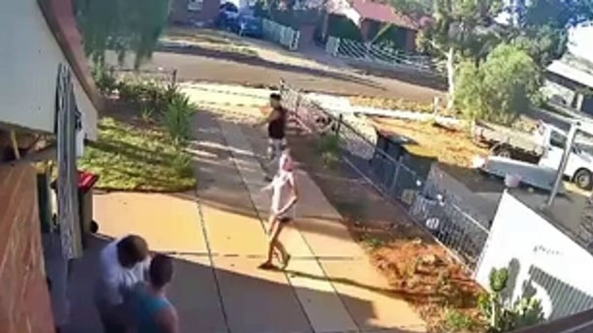 Komşular tepkili <br><br>Olayın ardından konuşan komşular, köpeğin kontrolsüz bırakılmasının trajik bir sonucu olduğunu belirtti. “Polis neden görevini yapmadı? Köpek tehlikeliydi ve yetkililer hiçbir önlem almadı” diyen komşular, hayvan kontrolünün ihmali nedeniyle Kulis’in hayatını kaybettiğini vurguladı. Yetkililer ise olayın hâlen soruşturma aşamasında olduğunu açıkladı.