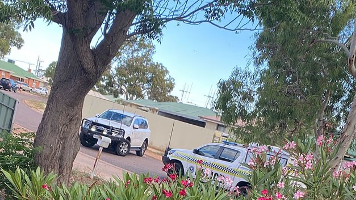 Köpeğin geçmişi ve tehditler <br><br>Dexter isimli pit bull, daha önce komşuların evcil hayvanlarına saldırmış ve mahallede ciddi korku yaratmıştı. Kulis ve nişanlısı Arlan Potter, köpeğin saldırgan davranışları karşısında çaresiz kalmış, bazı durumlarda Potter köpeği uzaklaştırmak için bıçak kullanmak zorunda kalmıştı. Whyalla Belediyesi, saldırının ardından köpeğin itlaf edildiğini duyurdu.