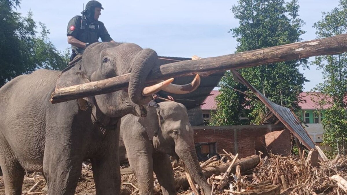 Ülke genelinde can kaybı 950’yi aştı<br><br>Endonezya Ulusal Afet Yönetim Ajansı BNPB, Kuzey Sumatra, Batı Sumatra ve Açe’de meydana gelen sel ve heyelan olaylarına ilişkin güncel verileri paylaştı. Açıklamaya göre, hayatını kaybedenlerin sayısı 950’ye yükselirken, 5 binden fazla kişi de yaralandı. Ülke genelinde hasar tespit ve iyileştirme çalışmaları aralıksız olarak sürüyor.